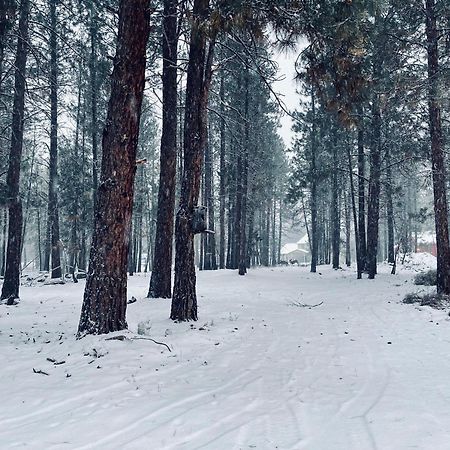 Вилла Woodhaven Бенд Экстерьер фото