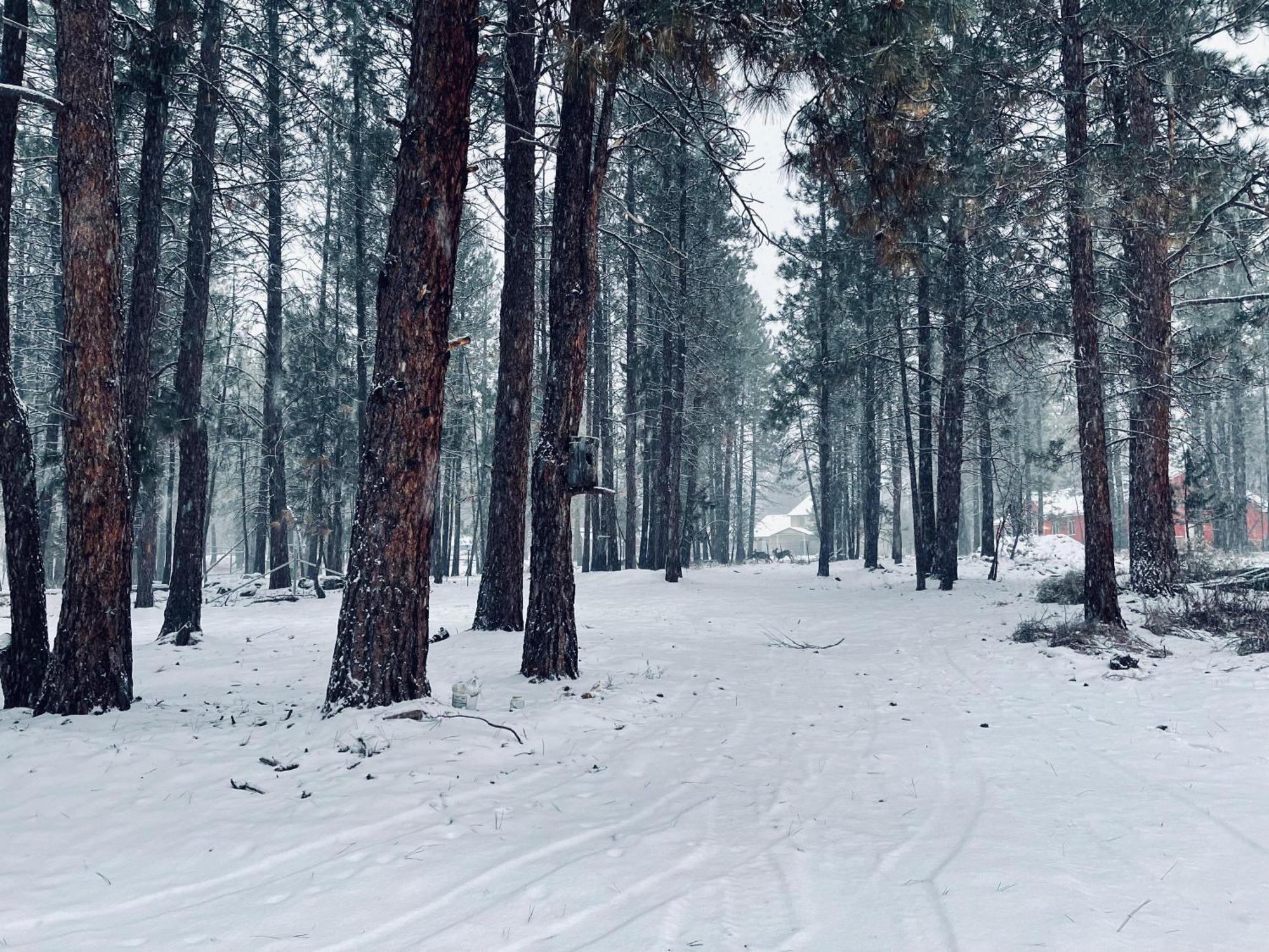 Вилла Woodhaven Бенд Экстерьер фото